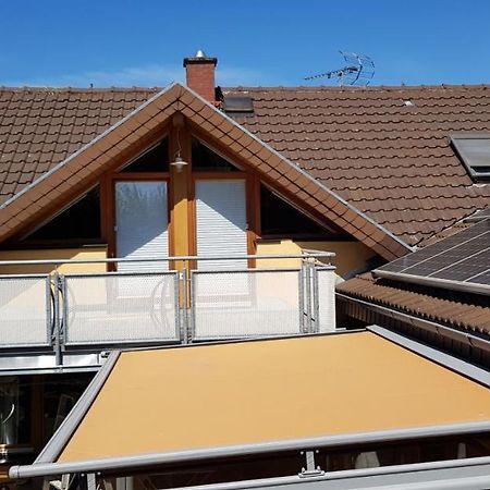 Appartment Sonnenblick Dielheim Exteriör bild